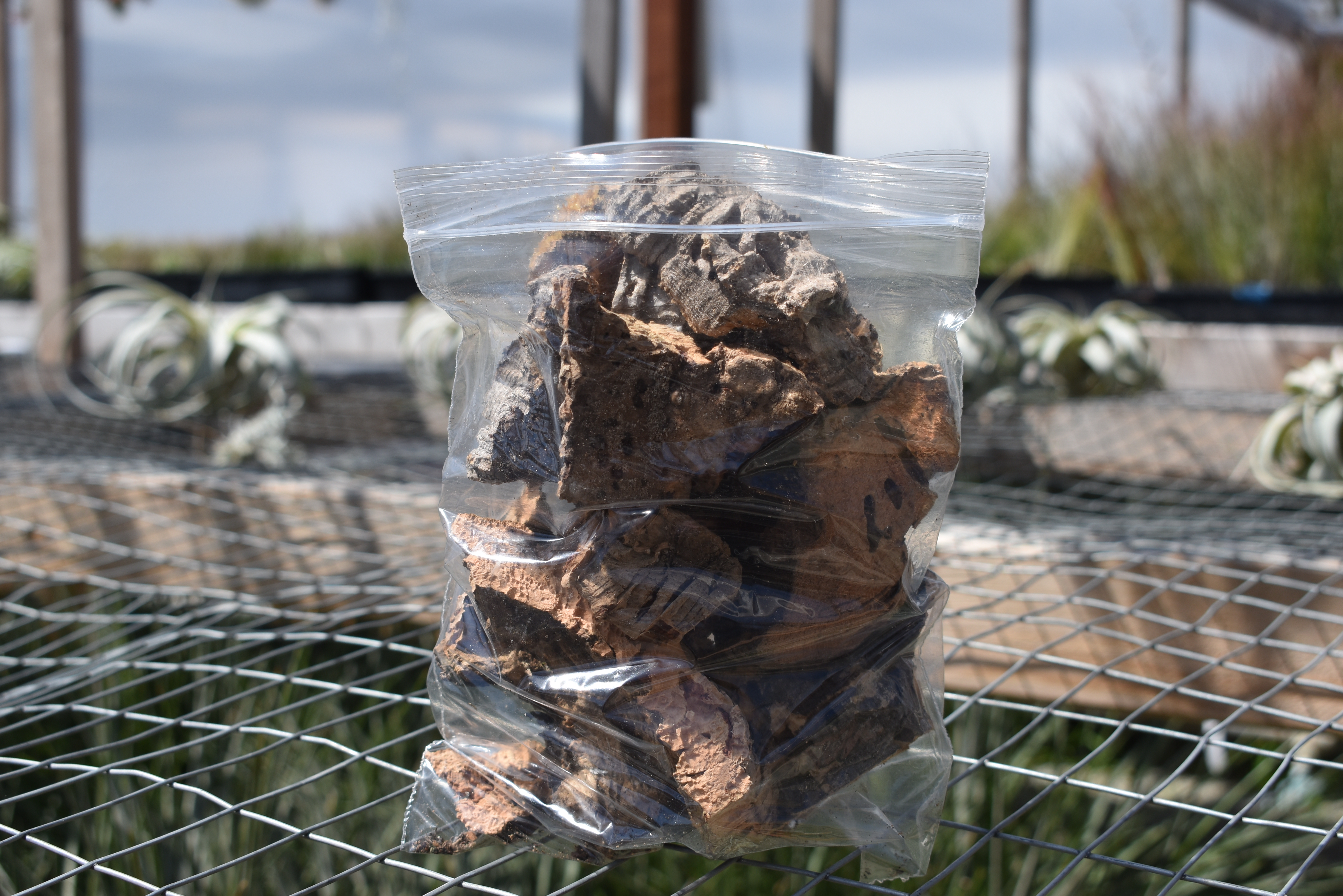 Virgin cork bark scraps for bird chew toys and reptile enclosures