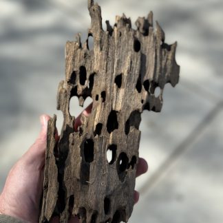 Dragon Bone wood
