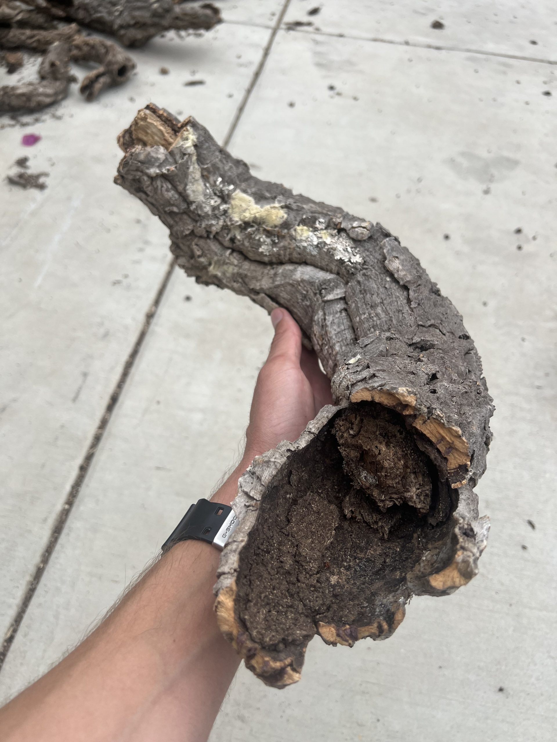 Virgin Cork Logs
