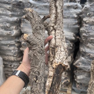 Virgin Cork Logs