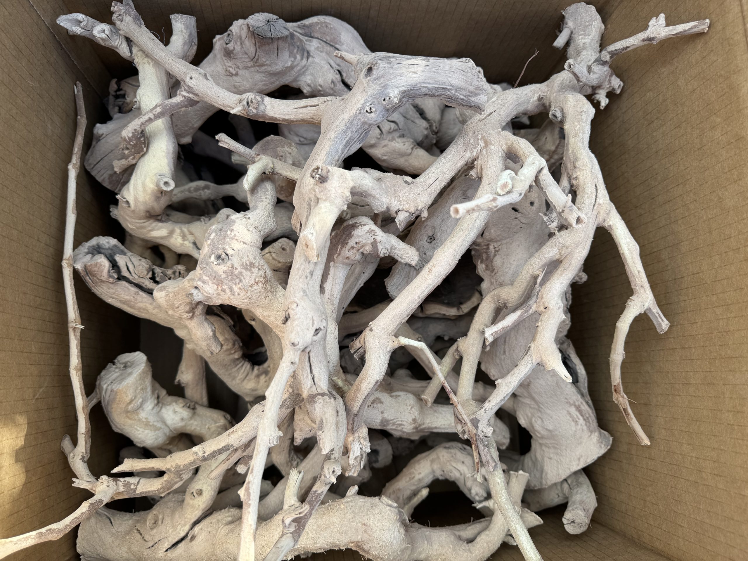 Sandblasted grape vine branch for reptile enclosures and terrariums
