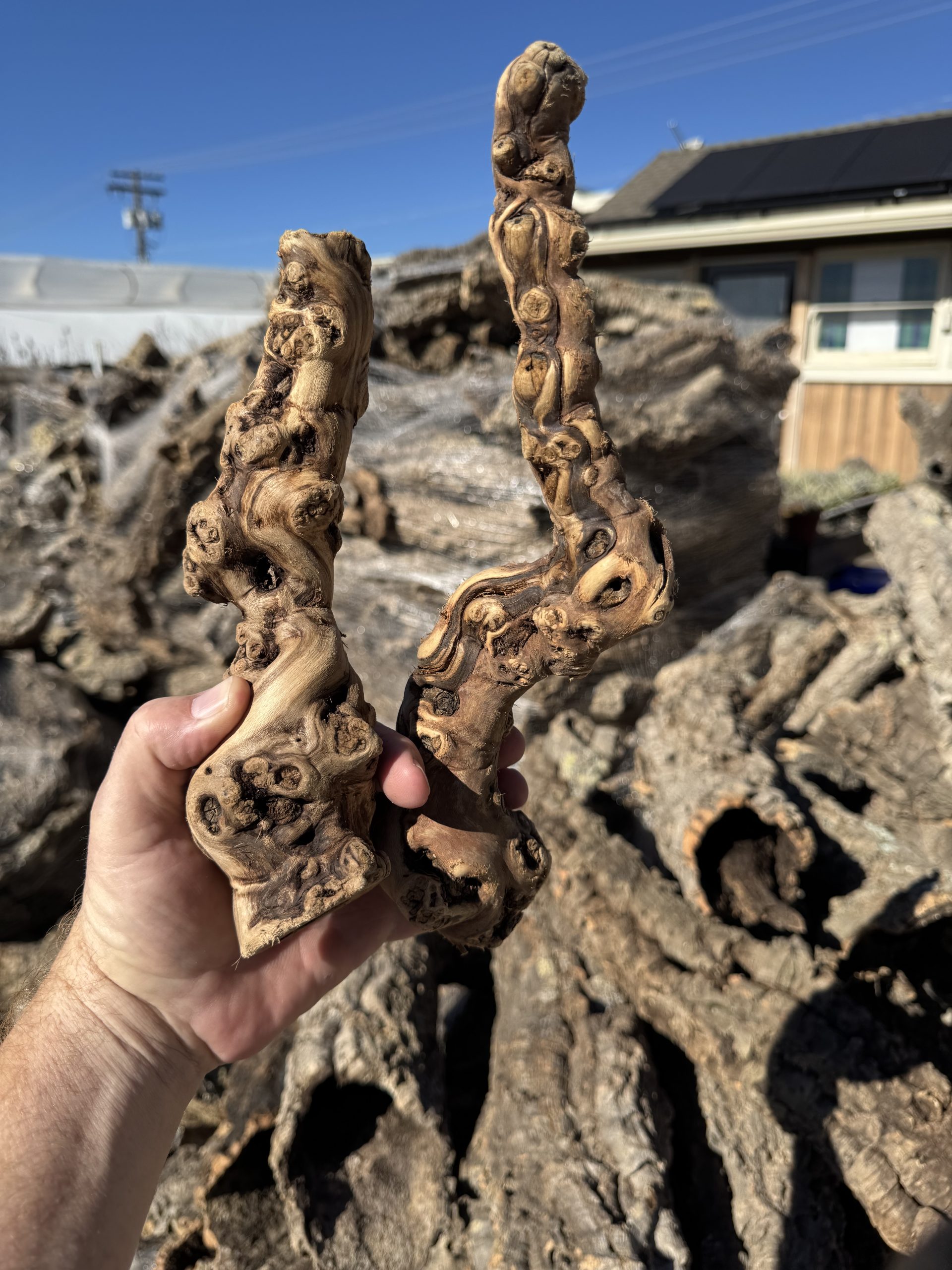 Tumbled grape vine