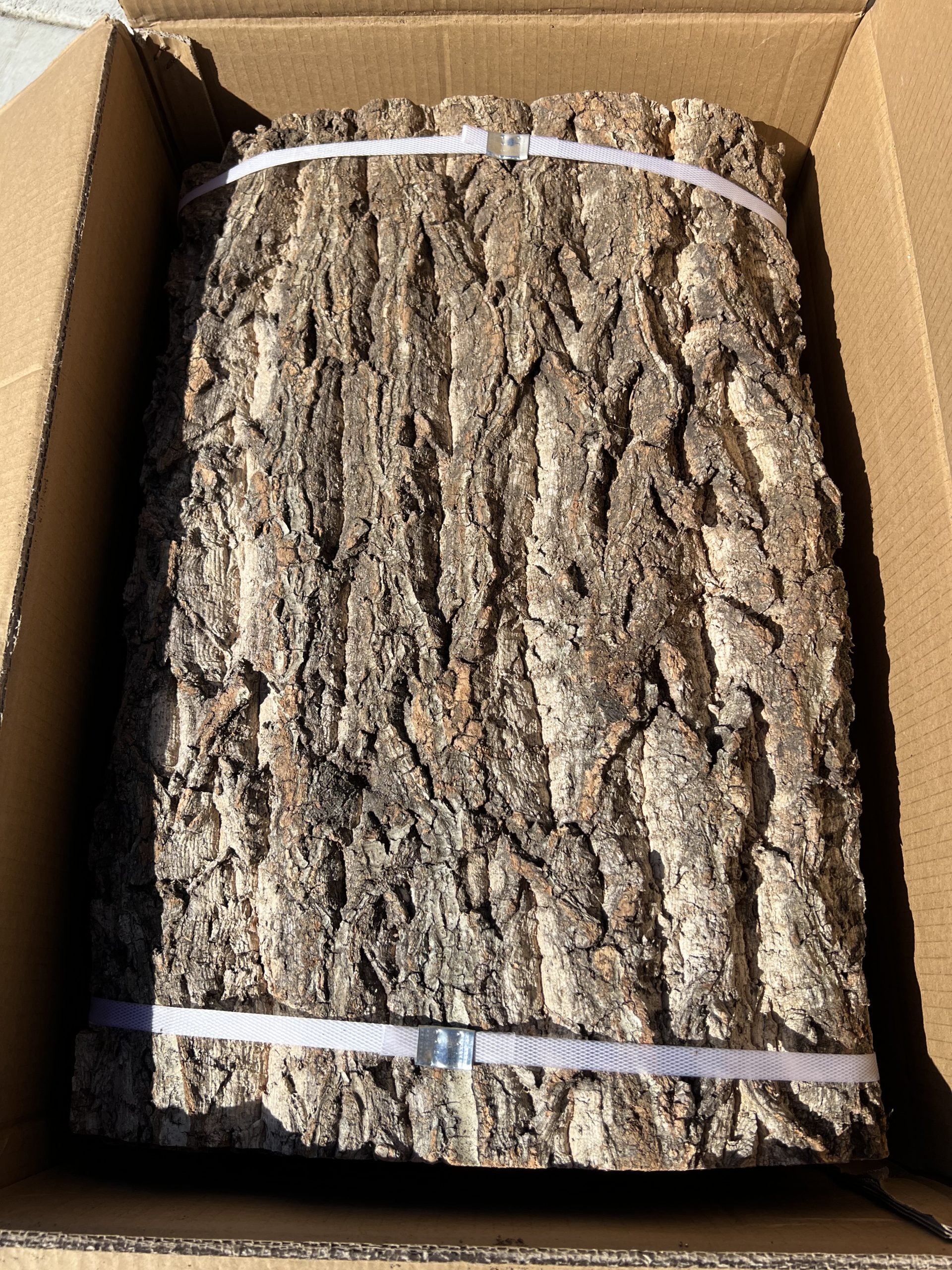 20 Pack Cork Tile
