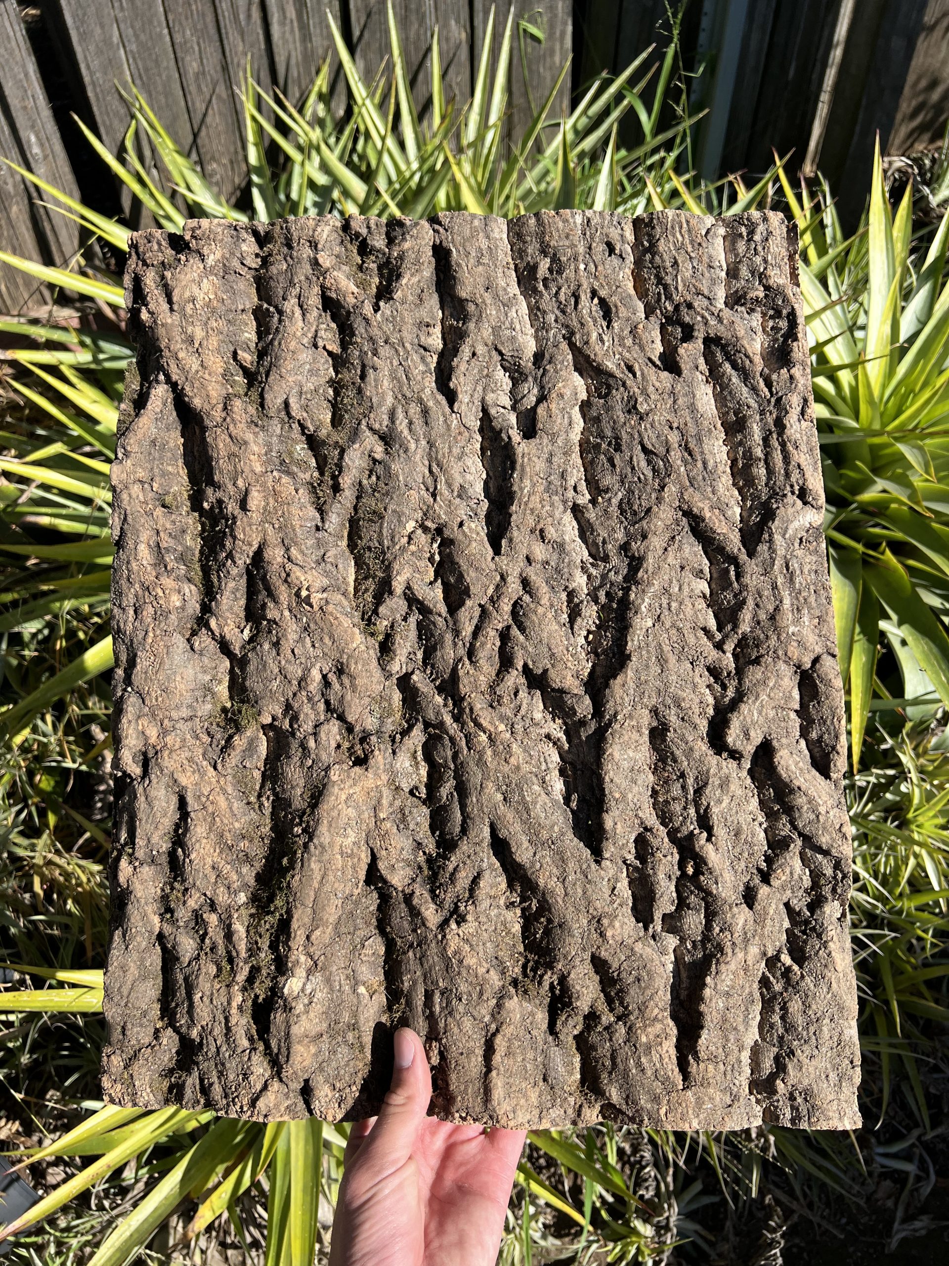 20 Pack Cork Tile 50x40