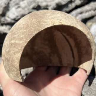 Natural coconut shell hideout held in hand, showing the arched opening for reptiles and small pets