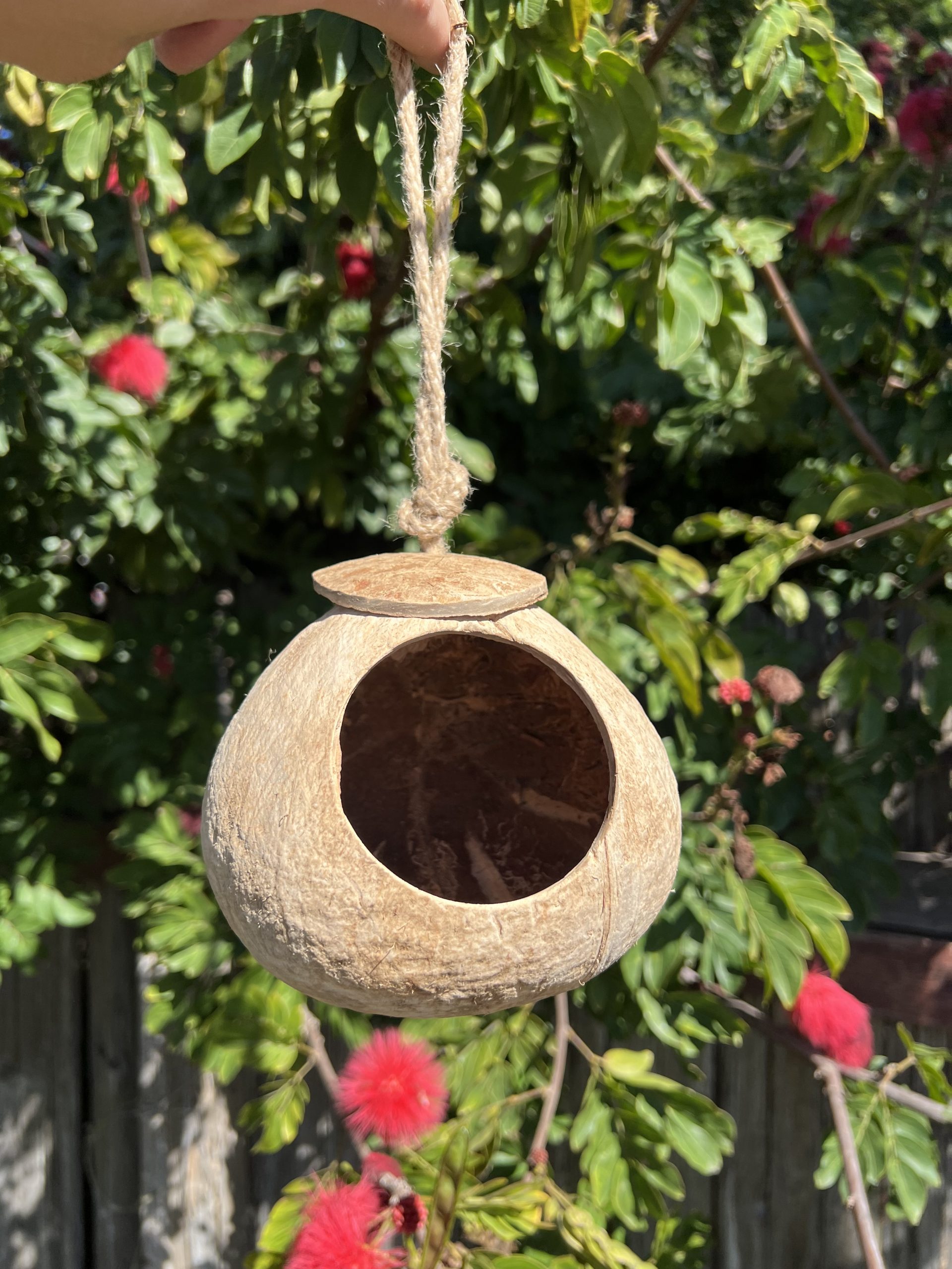 Coconut shell house with a hanging rope, a natural climbing hideaway for reptiles and birds