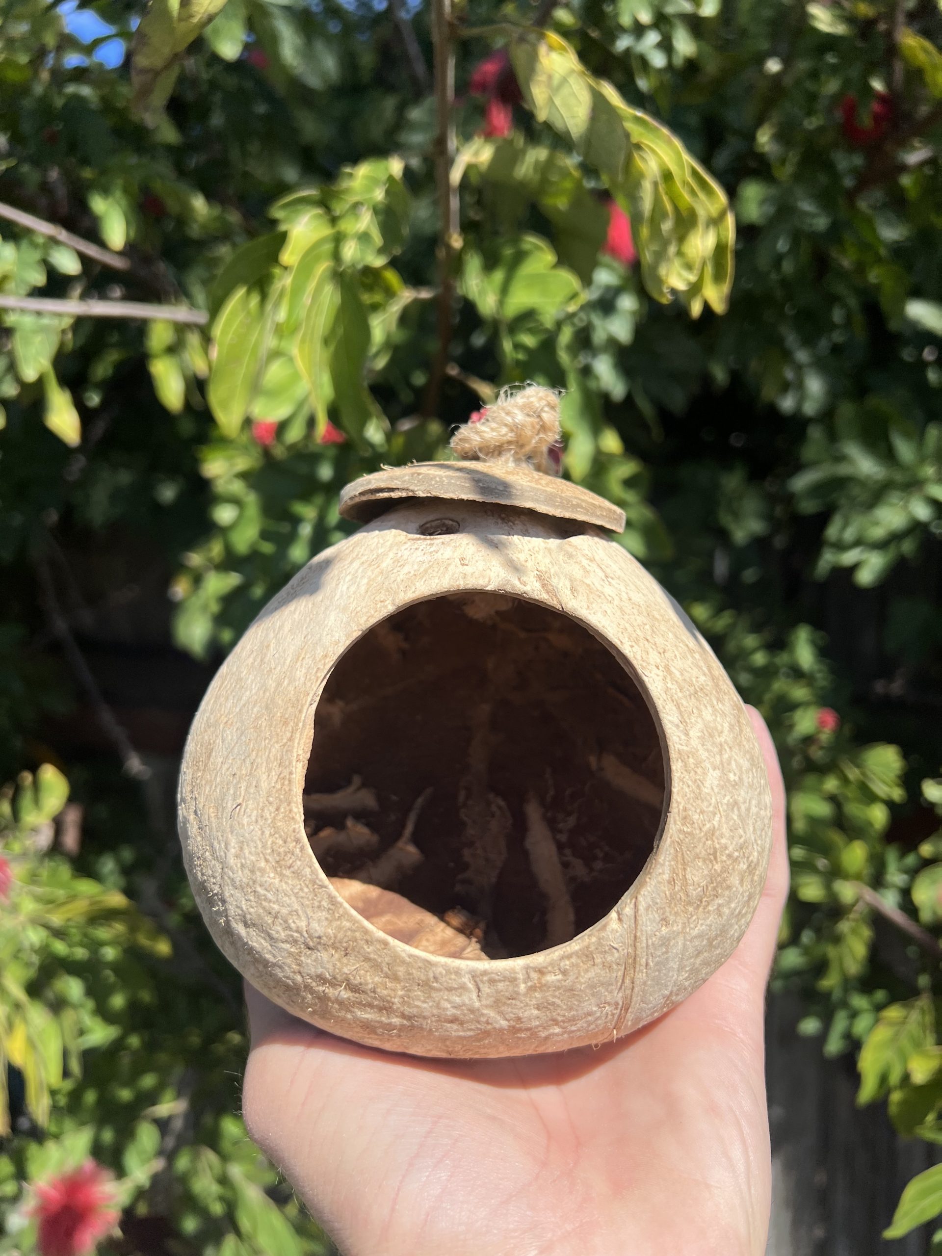 Bulk coconut shell houses with hanging ropes for pet enclosures