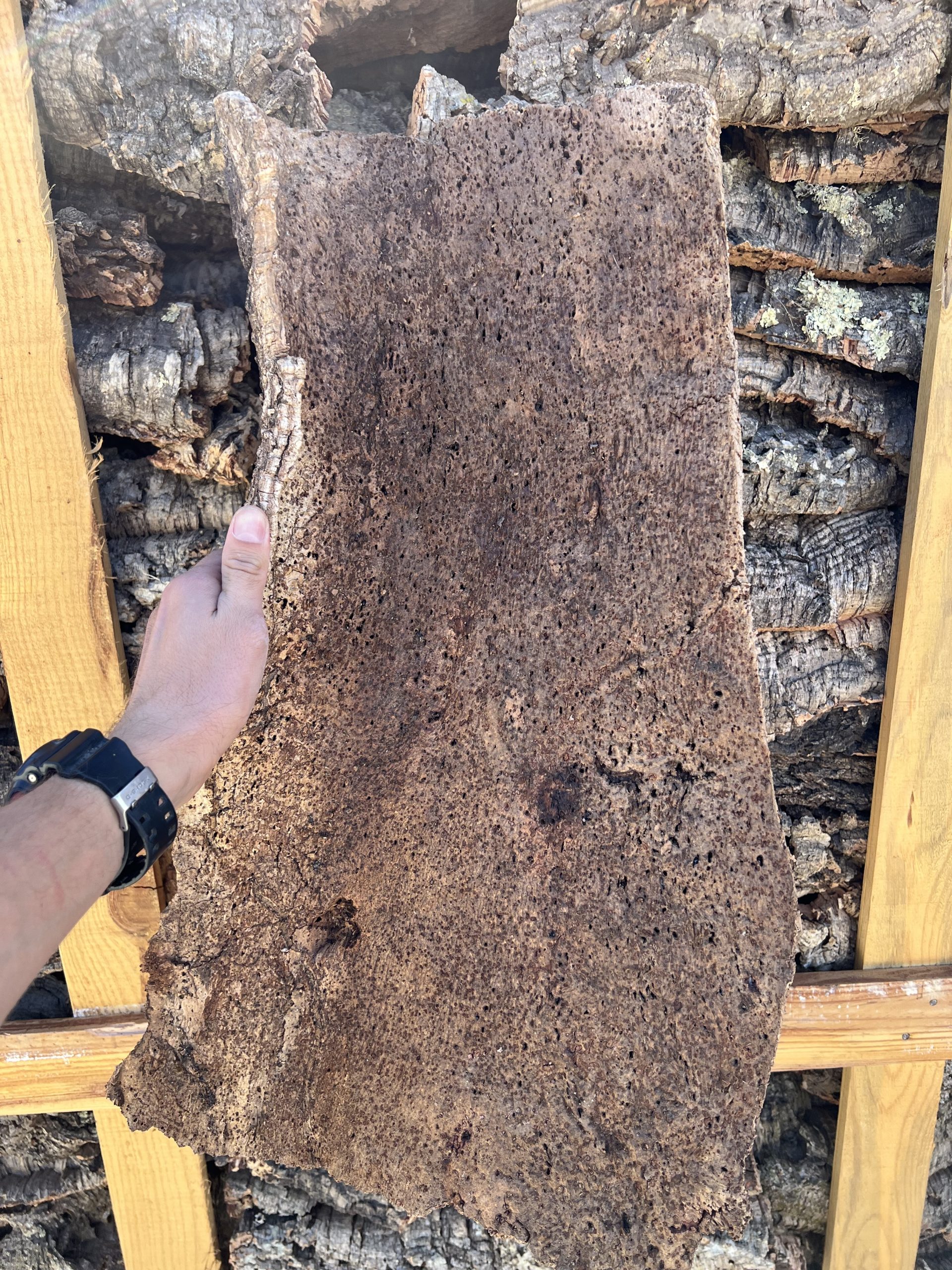 2nd Harvest Cork